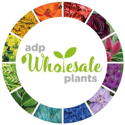 ADP Wholesale Plan, your Agent for the 'Online Plant Market’ This unique platform offers easy access to an unrivalled range of plants - saving you time & money!