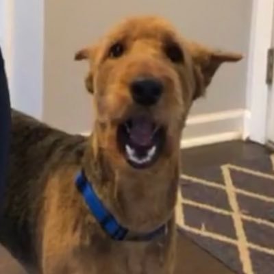 criscuolob's profile picture. Ask yourself... is he being sarcastic? He’s probably being sarcastic.
