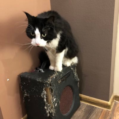 oxfordisnotbea1's profile picture. 
