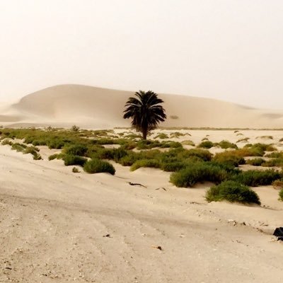 كُن كالمطر أإاينما وقع نفع