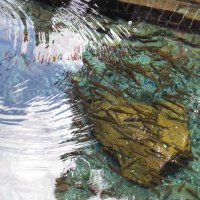 Saurabh Acharya (@saurabhacharya4) 's Twitter Profile