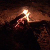ابو عبدالله (@sususasa2011) Twitter profile photo