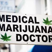 Medical Marijuana Doctors (@omnimedicalfl) 's Twitter Profile