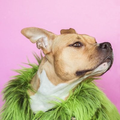 PuigCharly's profile picture. Un avenir meilleur ! #LesRepublicains66