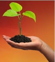 techstartuptips's profile picture. Award winning Low Cost #Software development and support for #Technology #Startups, worldwide. Tips and Trends  for small tech business.