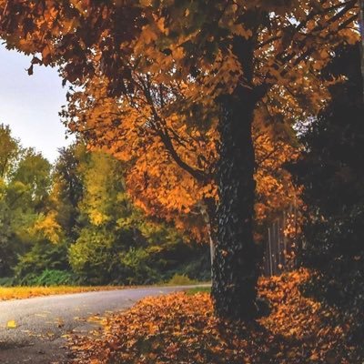 سبحان الله وبحمده 🧡