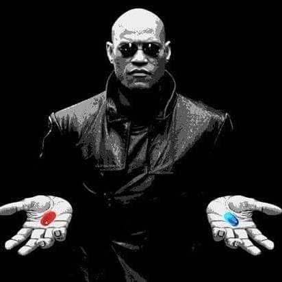 yomimmo321's profile picture. 