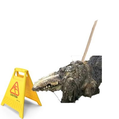 S_P_0_0_P_S's profile picture. haha 682 mop