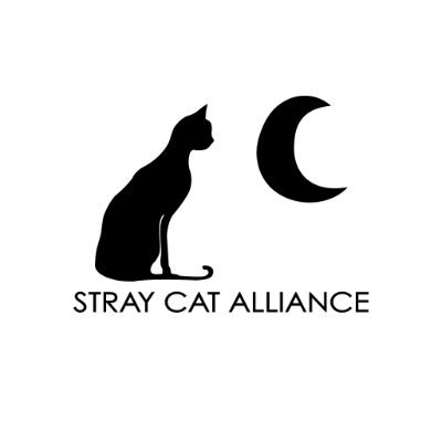 STRAY CAT ALLIANCE 💜 https://t.co/ITWbAn3TrE Nonprofit organization. Building a No-Kill Nation, One Stray at a time.