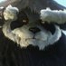 alatoic01 (@miguelc19207517) Twitter profile photo alatoic01 (@miguelc19207517) Twitter profile photo