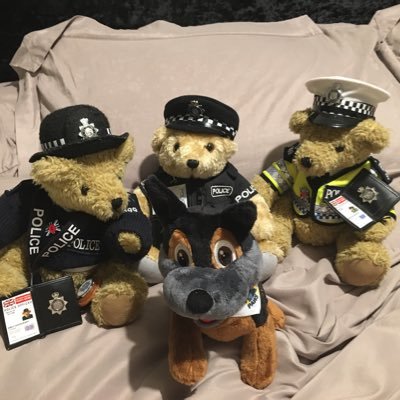a student who is studying policing degree with Three bears and police dog who attend police interceptors meets and police events. please follow their journey 😊