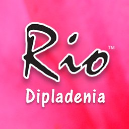 North American grower of quality garden plants. Rio Dipladenia, Hawaiian Punch Hibiscus, Harvesthyme Veg & Herb, Awesome Accents, Capri Petunia, Icicle Pansy.