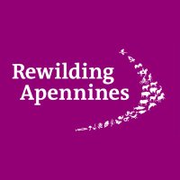Rewilding Apennines(@RewildApennines) 's Twitter Profileg