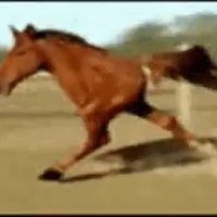 Dr Two Legs (@strongisbetter3) 's Twitter Profile