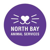 North Bay Animal Services(@NorthBayAnimals) 's Twitter Profileg