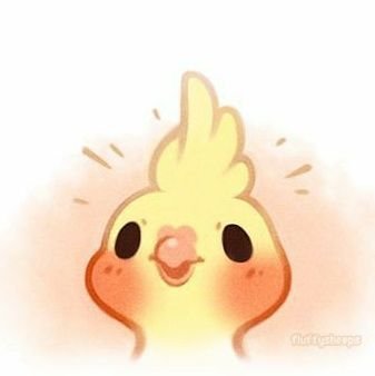 yeetenmymeat's profile picture. birb