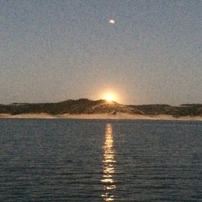 Flounder1972's profile picture. 
