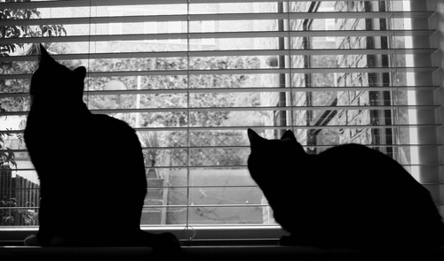 Bronwen_'s profile picture. 