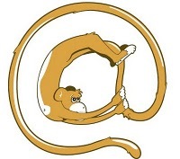 De Gouden Apenstaart wordt in 2017 opgevolgd door de Gouden Kolibrie https://t.co/qvdmODx9mz