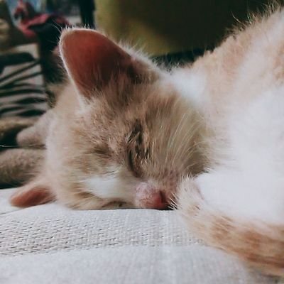 CoralineDaniel1's profile picture. nada muy importante que poner aquí.