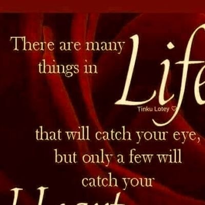 CoolJaymo's profile picture. 