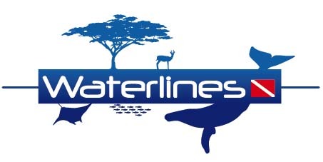 Waterlines's profile picture. 