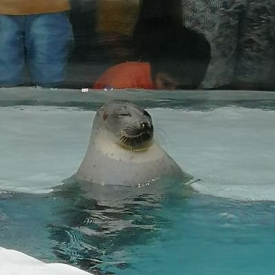 pjdez54t's profile picture. 裏垢を覗くためのやつ。ありがとうございます