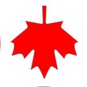 Working0115's profile picture. 