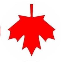 #TrudeauMustGo Working Dog (@working0115) 's Twitter Profile