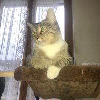 w_kulus (@w_kulus) Twitter profile photo