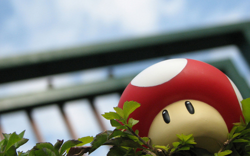 Spartankun's profile picture. 