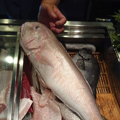 to_nyo_king's profile picture. 焼肉と和食と家系ラーメンが大好きです。
ゲームや競馬、初音ミクも好きです。
外食の記録のつもりで呟こうかな、と😀
己の罪は暴食🤪