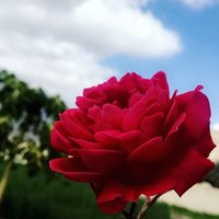 نسمات الجنوب (@10_nsmaaht) Twitter profile photo