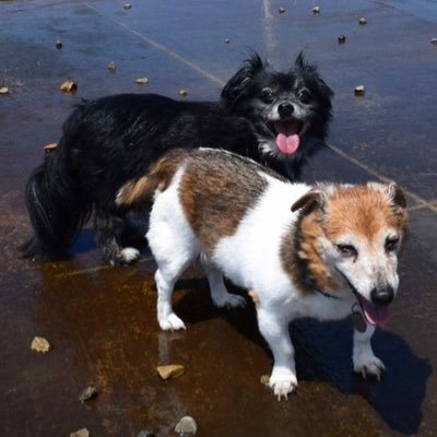 sososhirley's profile picture. 