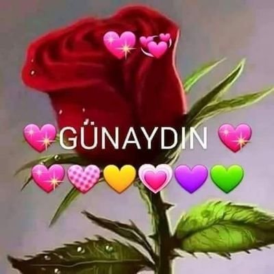 ordugizlierkek's profile picture. ilgi alaka