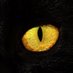 Sergey Lozhkin (@61ack1ynx) Twitter profile photo Sergey Lozhkin (@61ack1ynx) Twitter profile photo