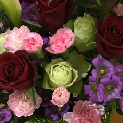 oA73UVzzebjDZ7u's profile picture. 