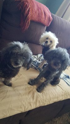 jakki1965's profile picture. 