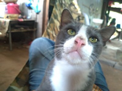 Simba00779713's profile picture. Simba