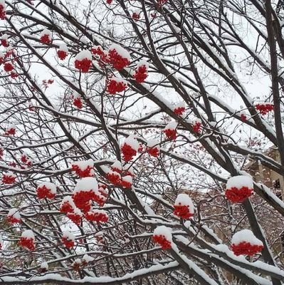 MRY02vjBXlrnT9f's profile picture. 見たいものを見て、聞きたいことを聞く。見たくないものは蓋をする。聞きたくないことは耳を塞ぐ。