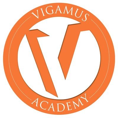 VIGAMUSAcademy Profile Picture