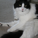 Gloria Holcomb - @pugetpride - Twitter