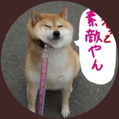シーシーペニストン ねこ サマーカット 失敗 で検索したらものすごい失敗が出てきた