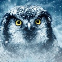 VISION ELECTRIC Super Conductors (@vconductors) 's Twitter Profile