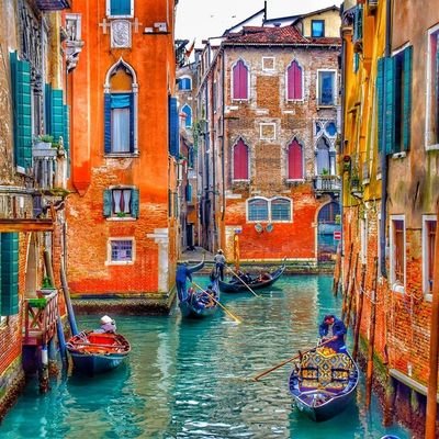 BuildStella's profile picture. 