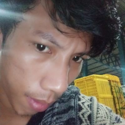 Medy2221's profile picture. Perusahaan