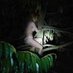 denis chastile (@denischastile) Twitter profile photo denis chastile (@denischastile) Twitter profile photo