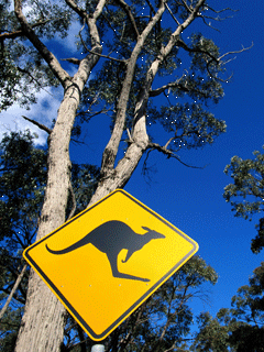 Viki_tricky's profile picture. 