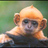 Ginjamunki's profile image