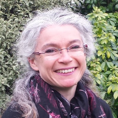 Conservateur des bibliothèques à l'Université de Rennes 1, responsable Signalement et Informatique documentaire.